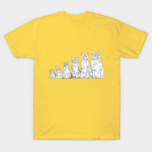 cat's life from birth to old age T-Shirt